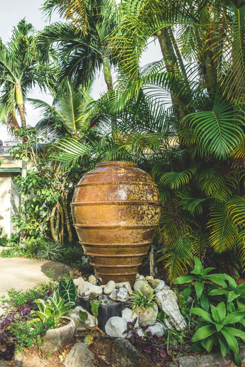 The Cooks Oasis Apartment Đảo Đảo Rarotonga Ngoại thất bức ảnh